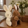 Brown rabbit dolls, white rabbit dolls, plush toys, cute throw pillows, home decoration details Picture